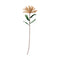Nike, Decoration, L100cm, Sand/Green